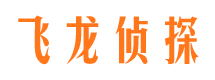 岑溪侦探公司